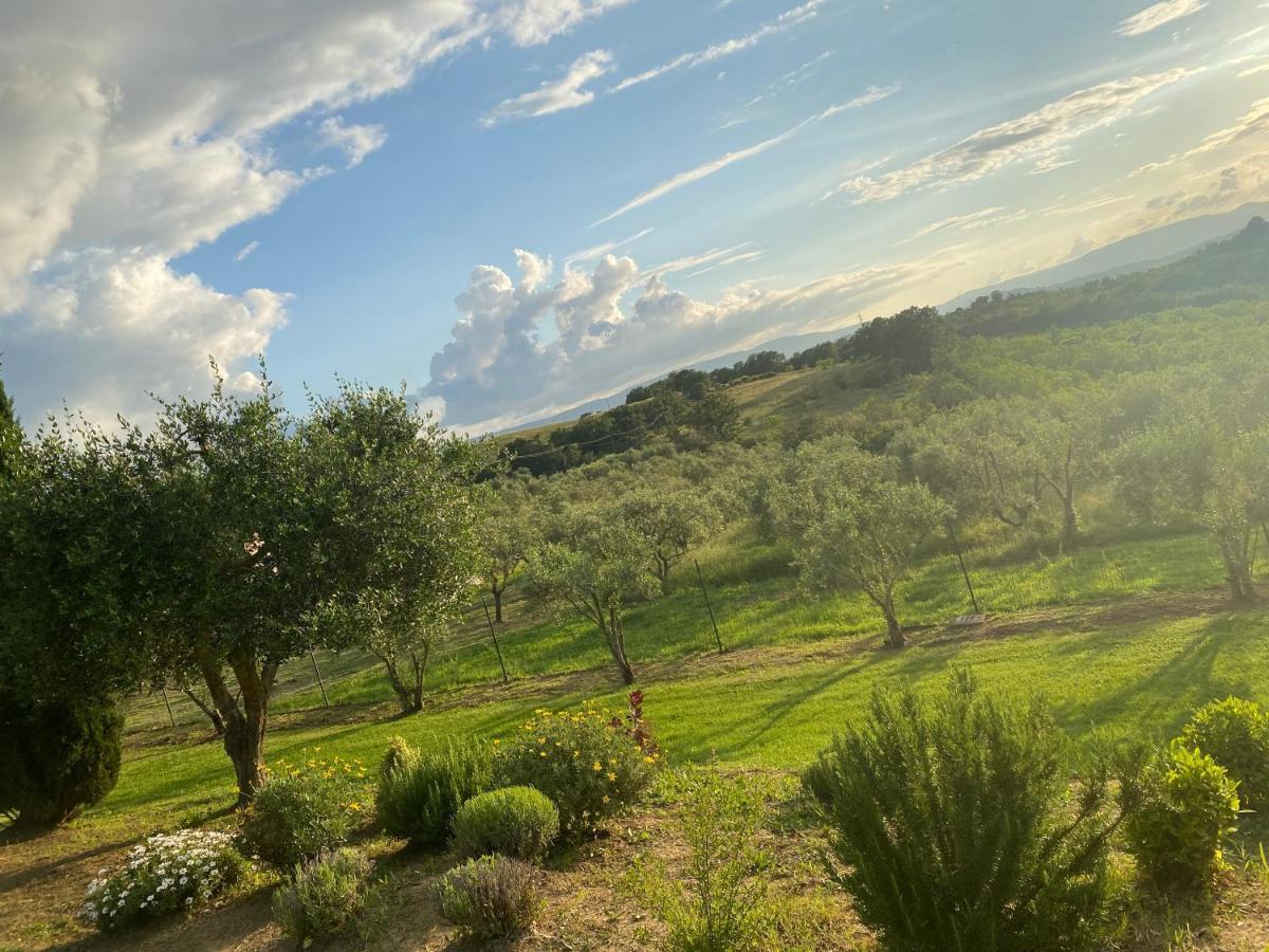 Agriturismo Palazzo Val Del Sasso Villastrada  Экстерьер фото